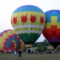 IMG 7659