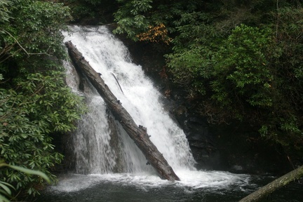 IMG 0608