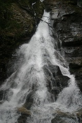 IMG 0620